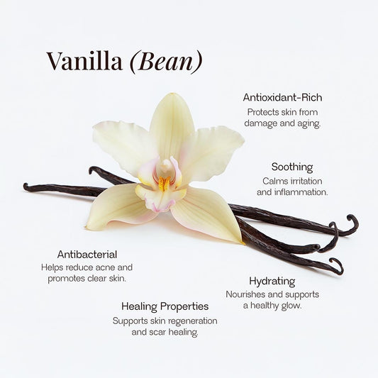Whipped Grass-Fed Tallow Balm with Vanilla Bean