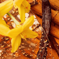 Purely Nice Whipped Grass-Fed Tallow Balm with Vanilla Bean