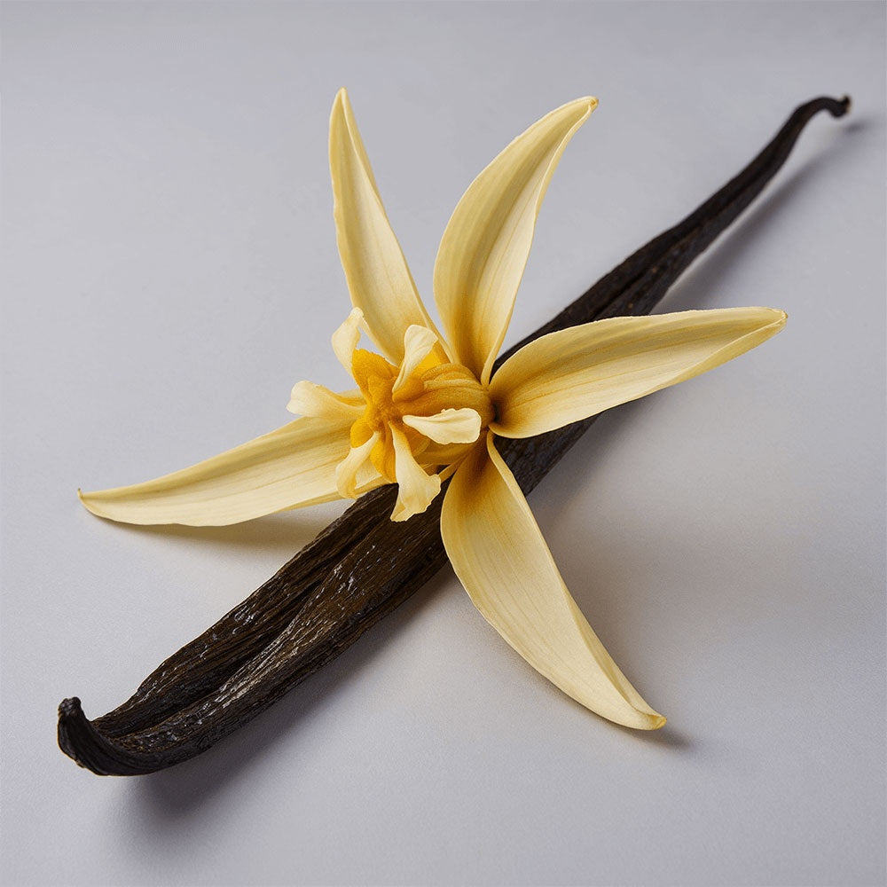 Purely Nice Whipped Grass-Fed Tallow Balm with Vanilla Bean