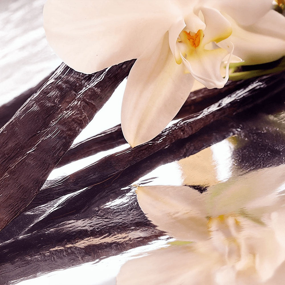 Purely Nice Whipped Grass-Fed Tallow Balm with Vanilla Bean