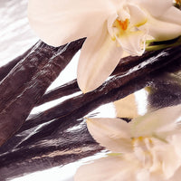 Purely Nice Whipped Grass-Fed Tallow Balm with Vanilla Bean